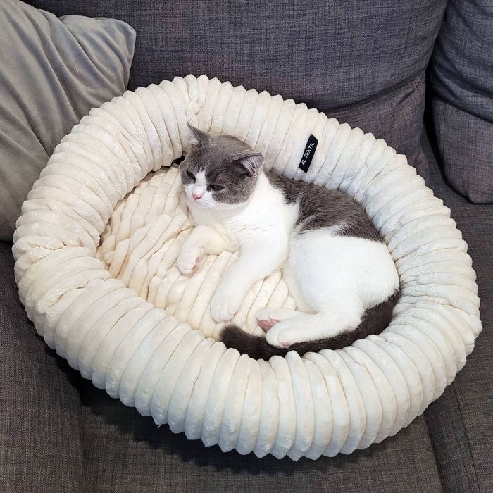 Przytulne legowisko dla psa lub kota LUNA (60x55 cm, Beż)