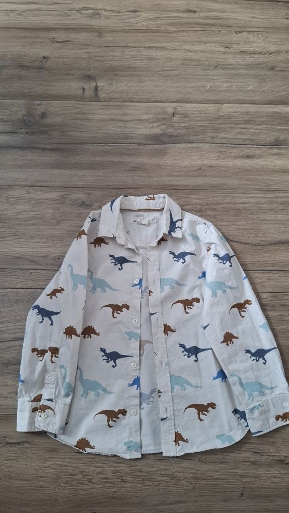Koszula w dinozaury H&M