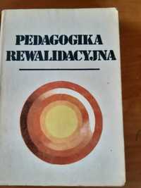 Hulek Pedagogika rewalidacyjna