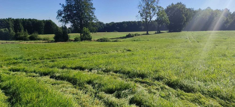 Działki budowlane Świeszyno – cisza, spokój, dojazd