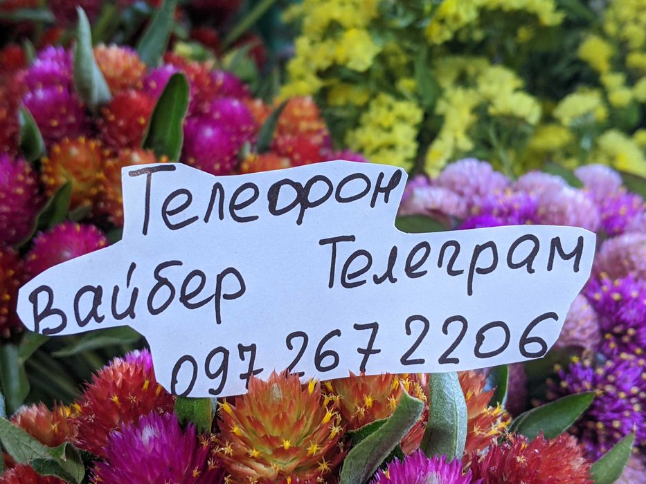 Дідух Коляда Сніп Колосся Різдво