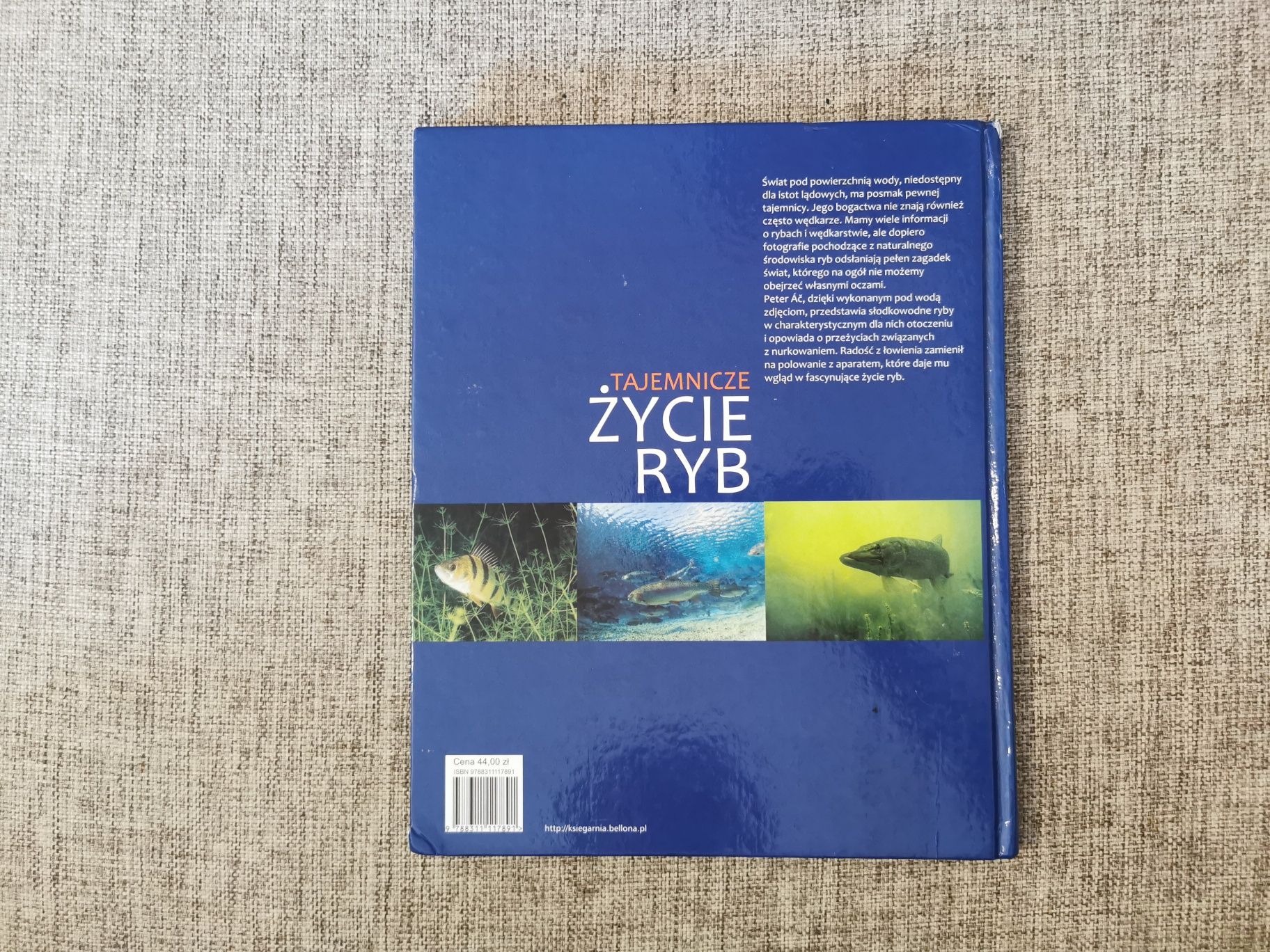 Tajemnicze życie ryb - Peter Ac