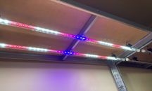 Diody/Led Aquael 18W