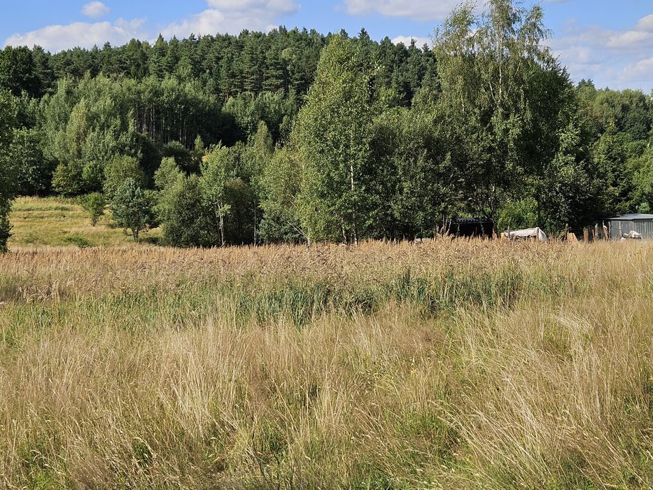 Działka budowlana w Beskidach