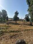 Terreno urbano plano
