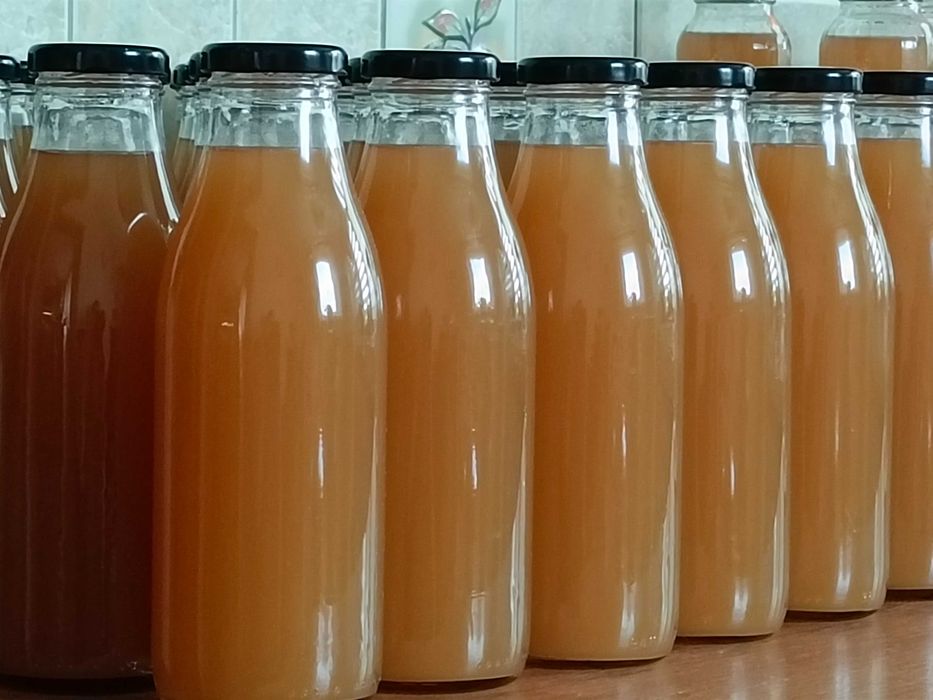 Syrop z kwiatów czarnego bzu