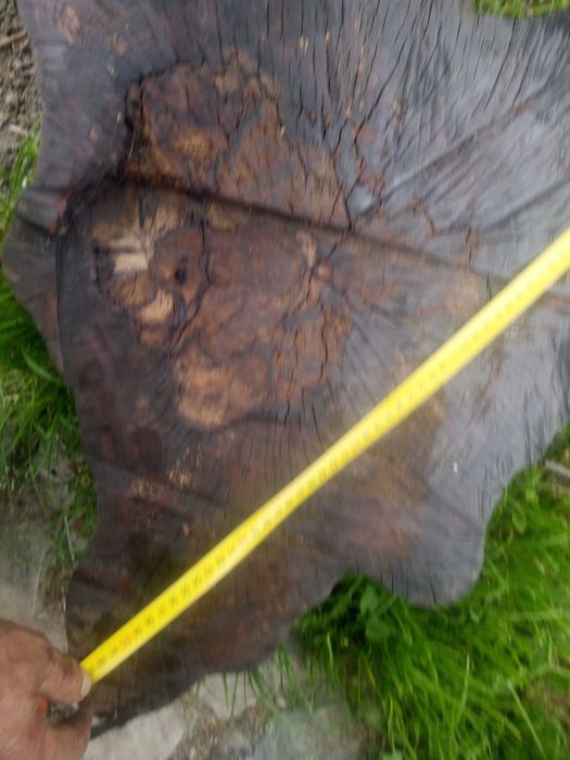 Plaster buka 67cm