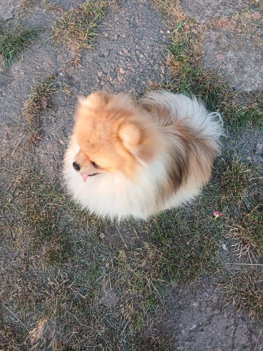 Неймовірно красивий хлопчик