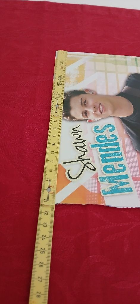 Poster Shawn Mendes, novo