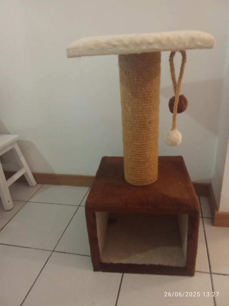 Vendo arranhador para gato novo urgência