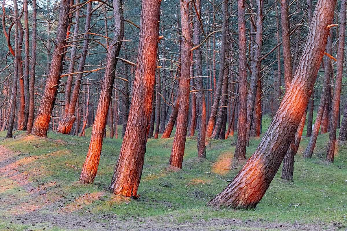 Kasia i Tomek - Kąty Rybackie, wakacje na Mierzei Wiślanej