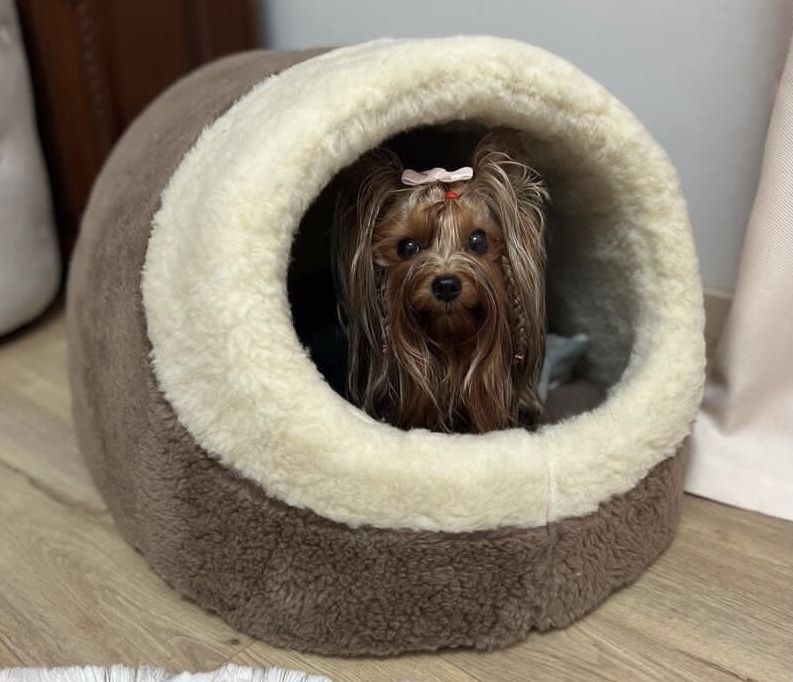 Тепла хутряна хатинка будиночок лежанка лежак для тварин кота собаки