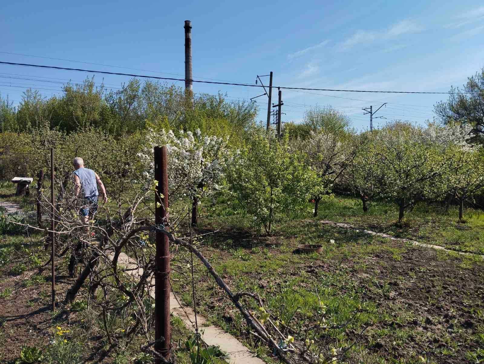 Продам дачу на Бабурке в р-не ул.Сапожникова