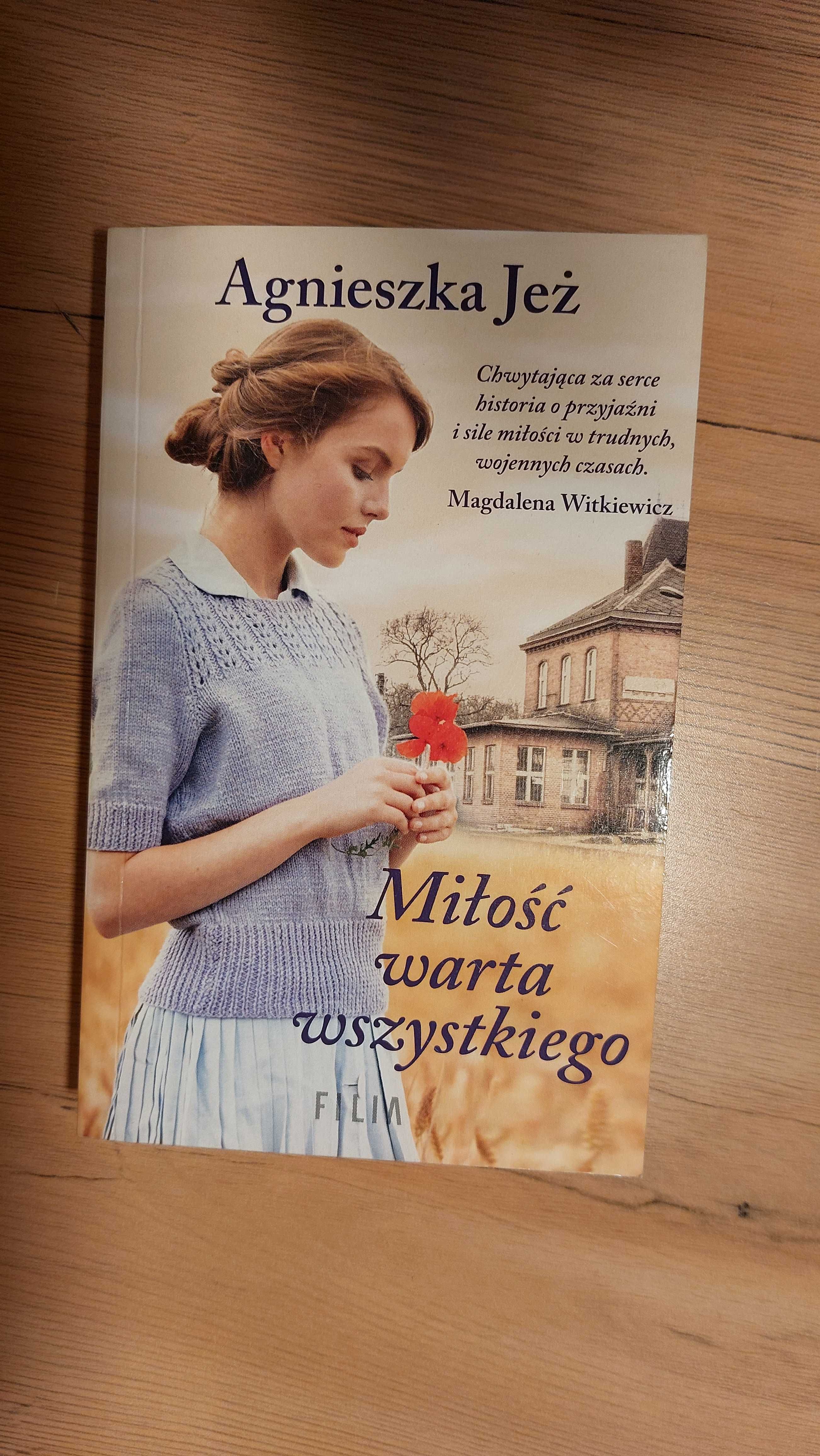 Polskie książki obyczajowe Witkiewicz Jeż