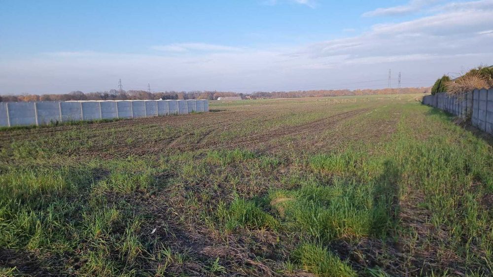 Sprzedam działkę budowlaną Pawłów gmina Skarbimierz