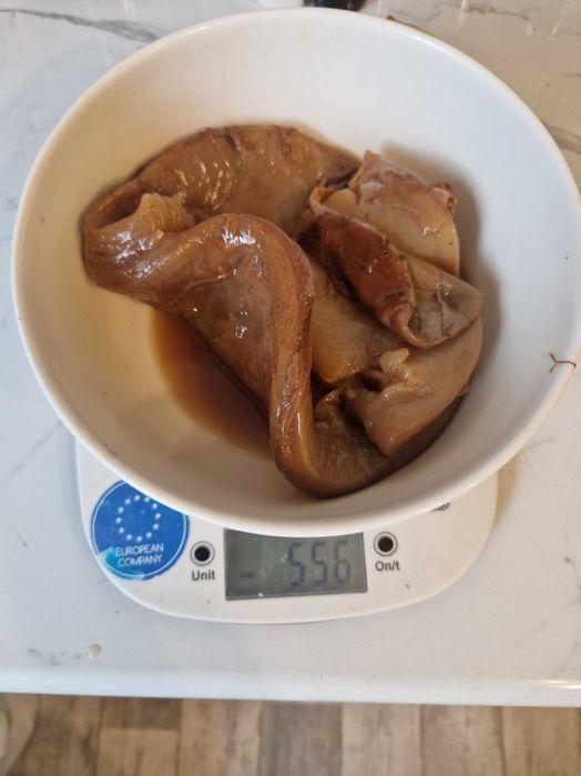 Kombucha / Kombucza- grzybek herbaciany. ZA DARMO!!!