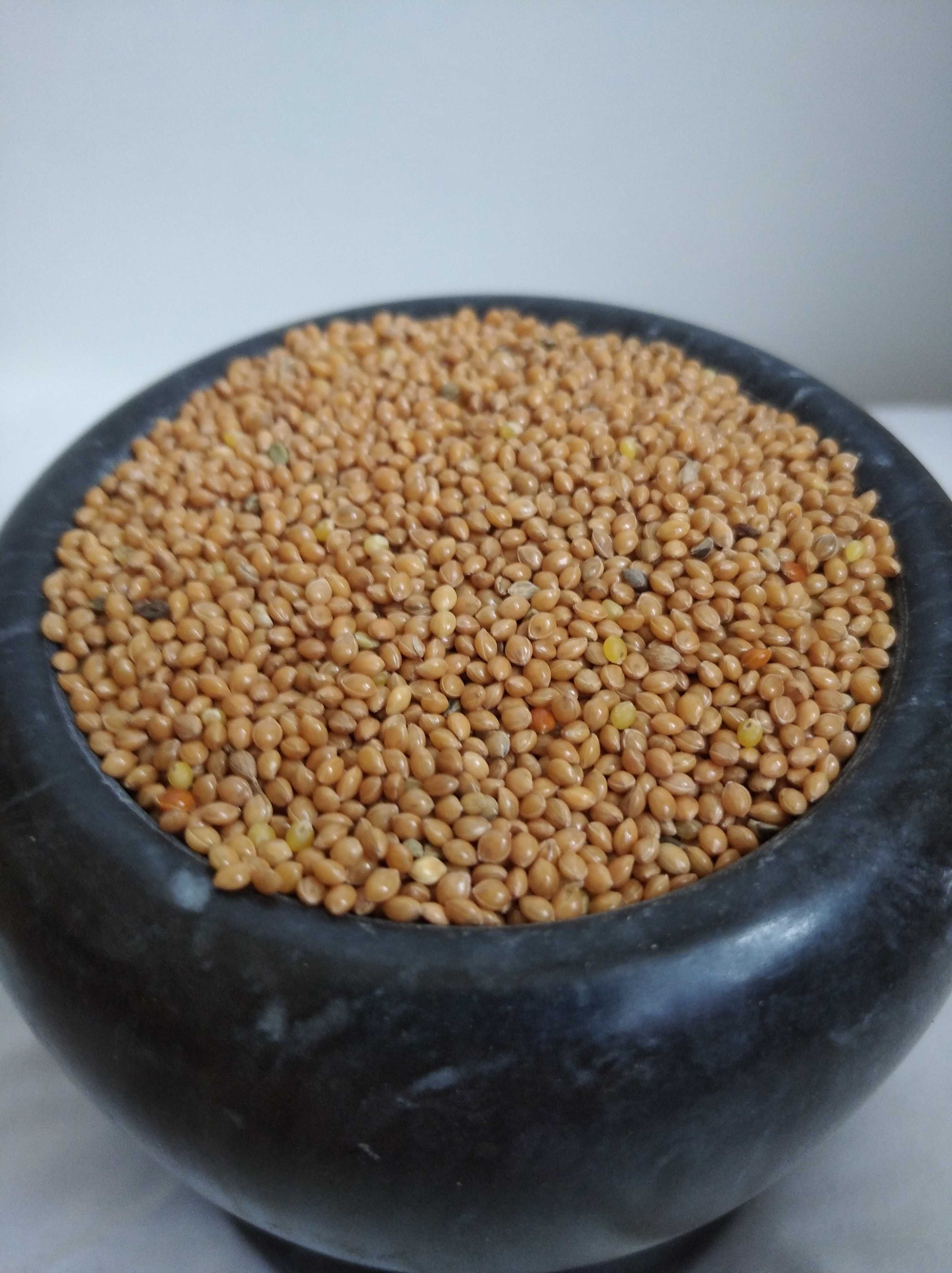 Proso karma dla kur, papug, gołębi, bażantów, przepiórek .Paczka 25kg