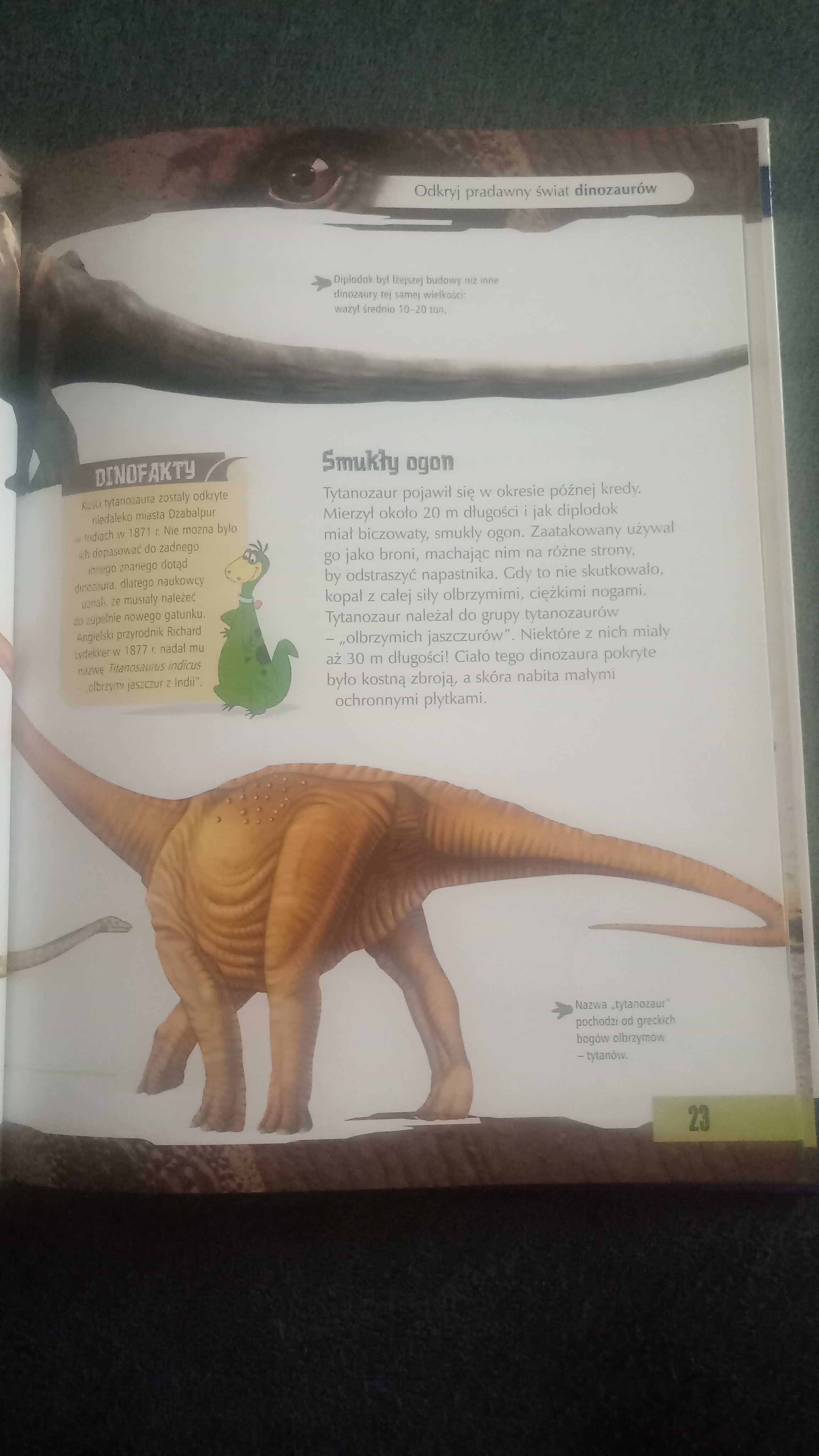 Książka Odkrywanie świata Świat Dinozaurów