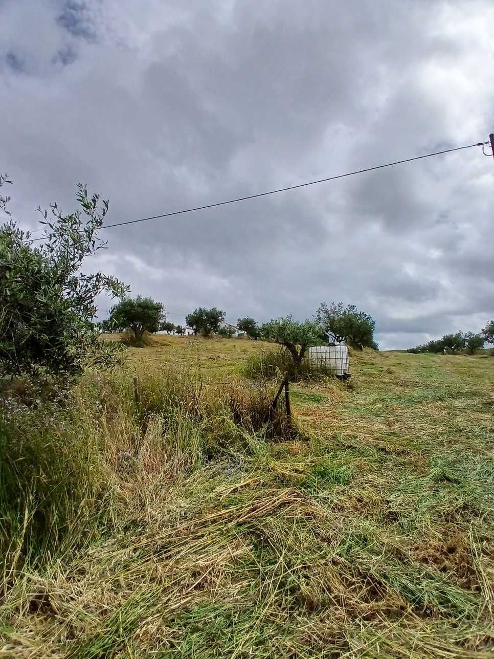 Monte Alentejano com 1.6 ha de terreno