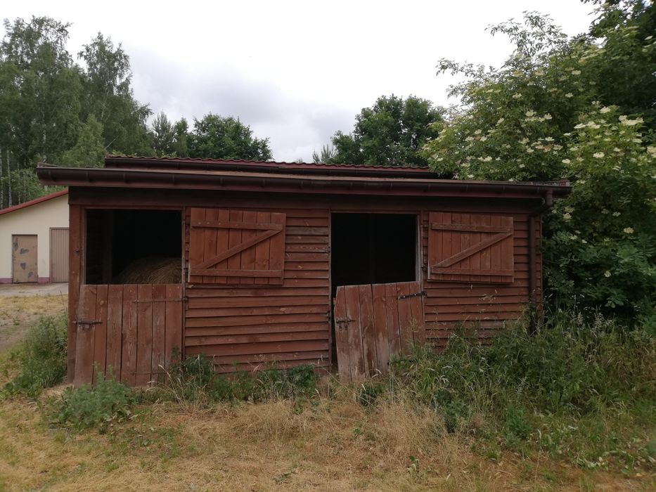 Drewniana szopa, komórka