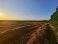 Продам ділянку 1 га біля м. Ходорів — перша лінія від дороги _RR