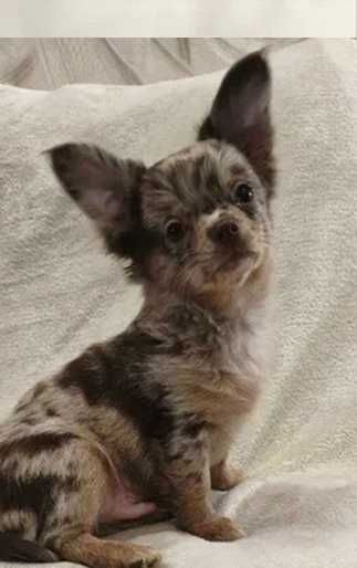 Дуже цікавий хлопчик КАЙ