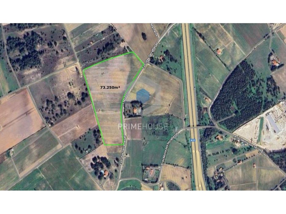 Terreno com vinha de alta qualidade em Palmela