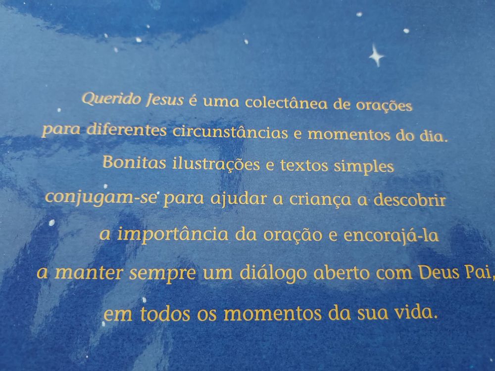 Querido Jesus- O meu livro de orações