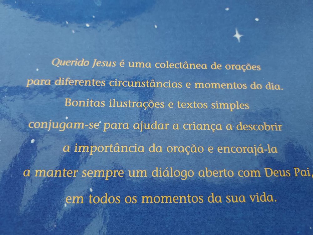 Querido Jesus- O meu livro de orações