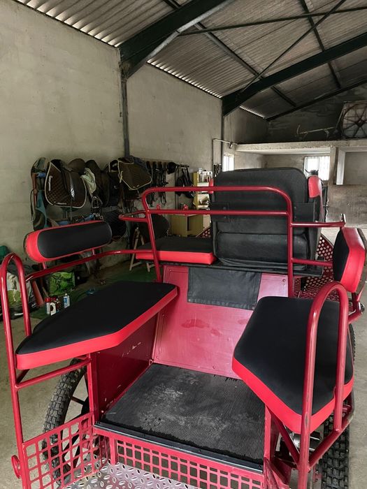 Maratona para cavalo