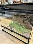 Terrarium szklane Repti Planet 60x45x45