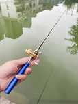 Caneta Vara de Pesca