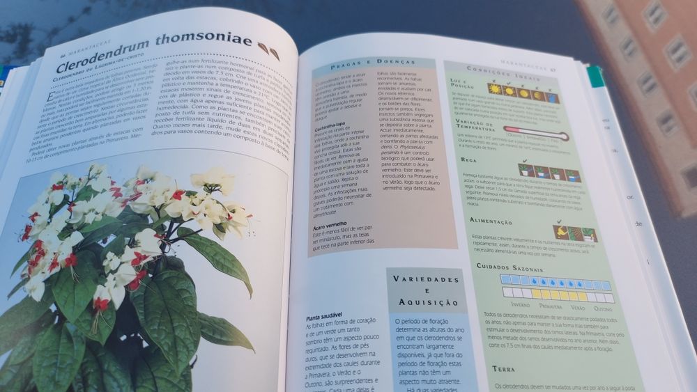 Manual Prático de Plantas do Interior de Jane Bland e William Davidson