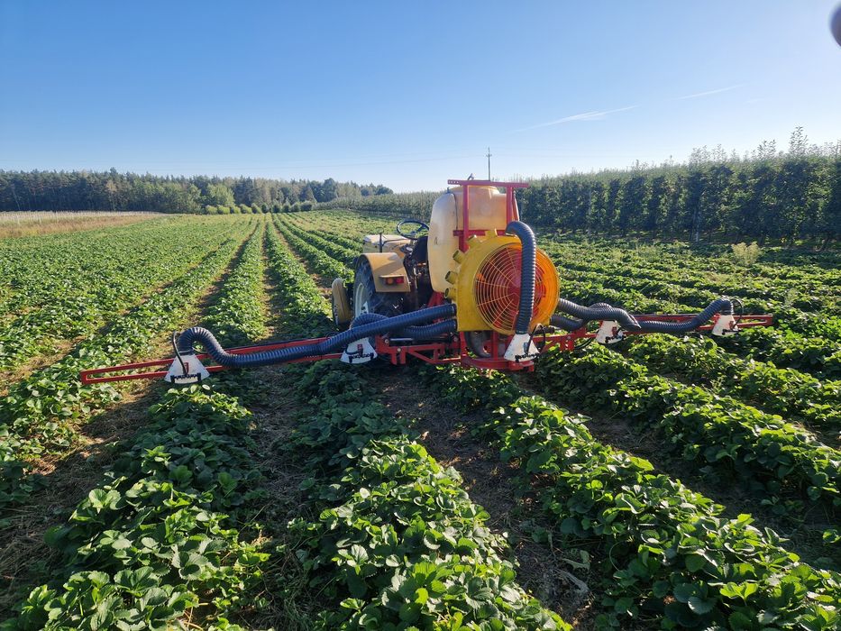 Opryskiwacz z nadmuchem do Truskawek