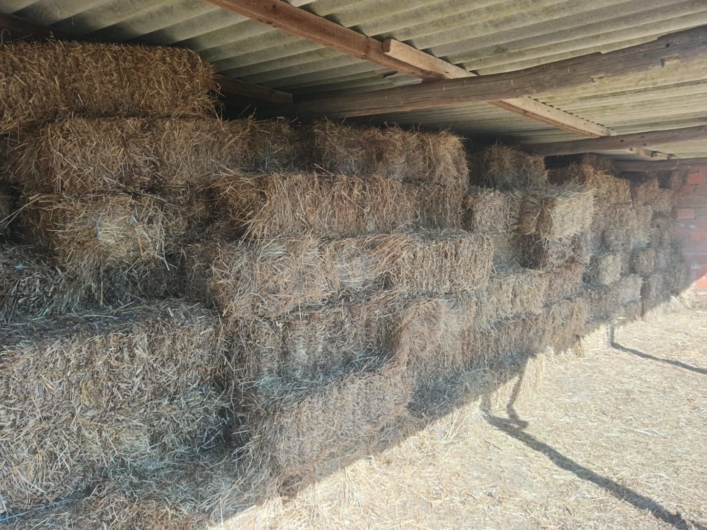 Vendo fardos de palha