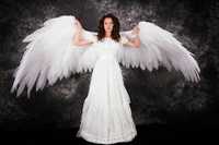 крылья ангела для фотосессии огромные 330 см 800 грн