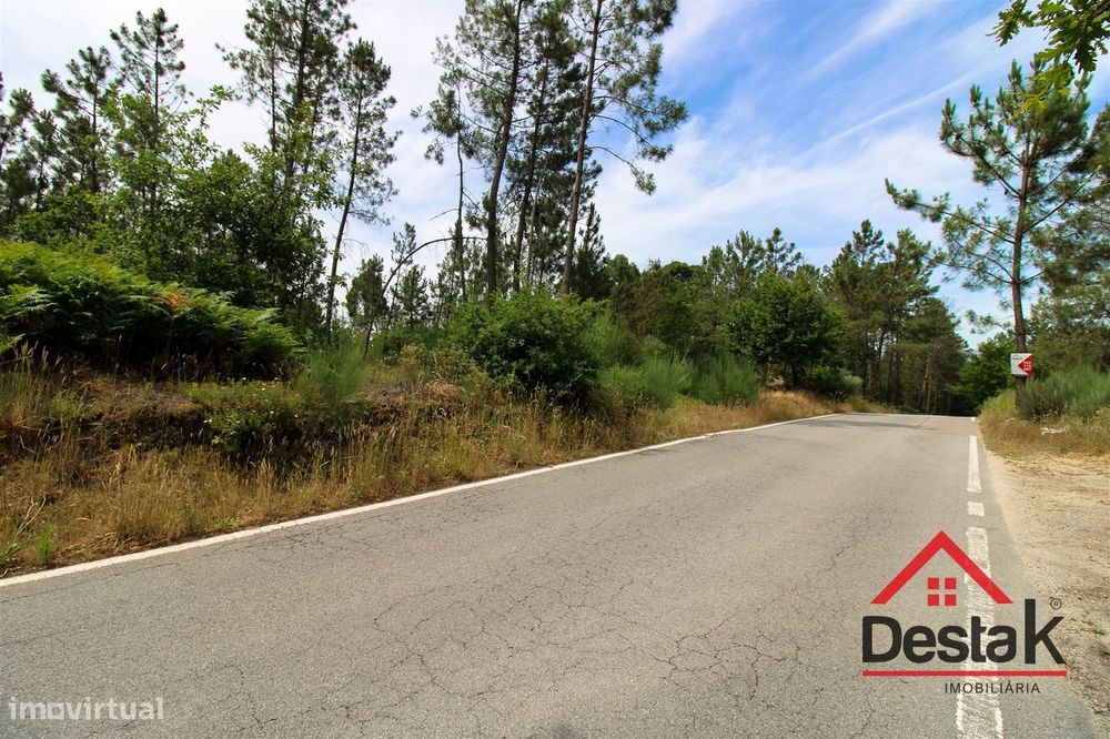 Terreno Rustico a 12 km de Viseu.