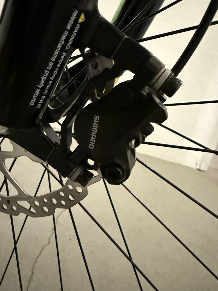BTT Coluer Pragma 29”