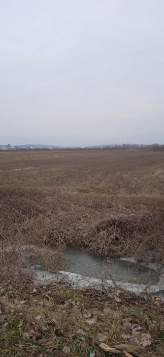 Продам землю Біля дороги