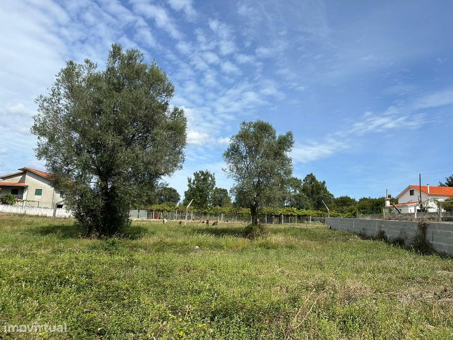 Lote de Terreno em Vitorino das Donas