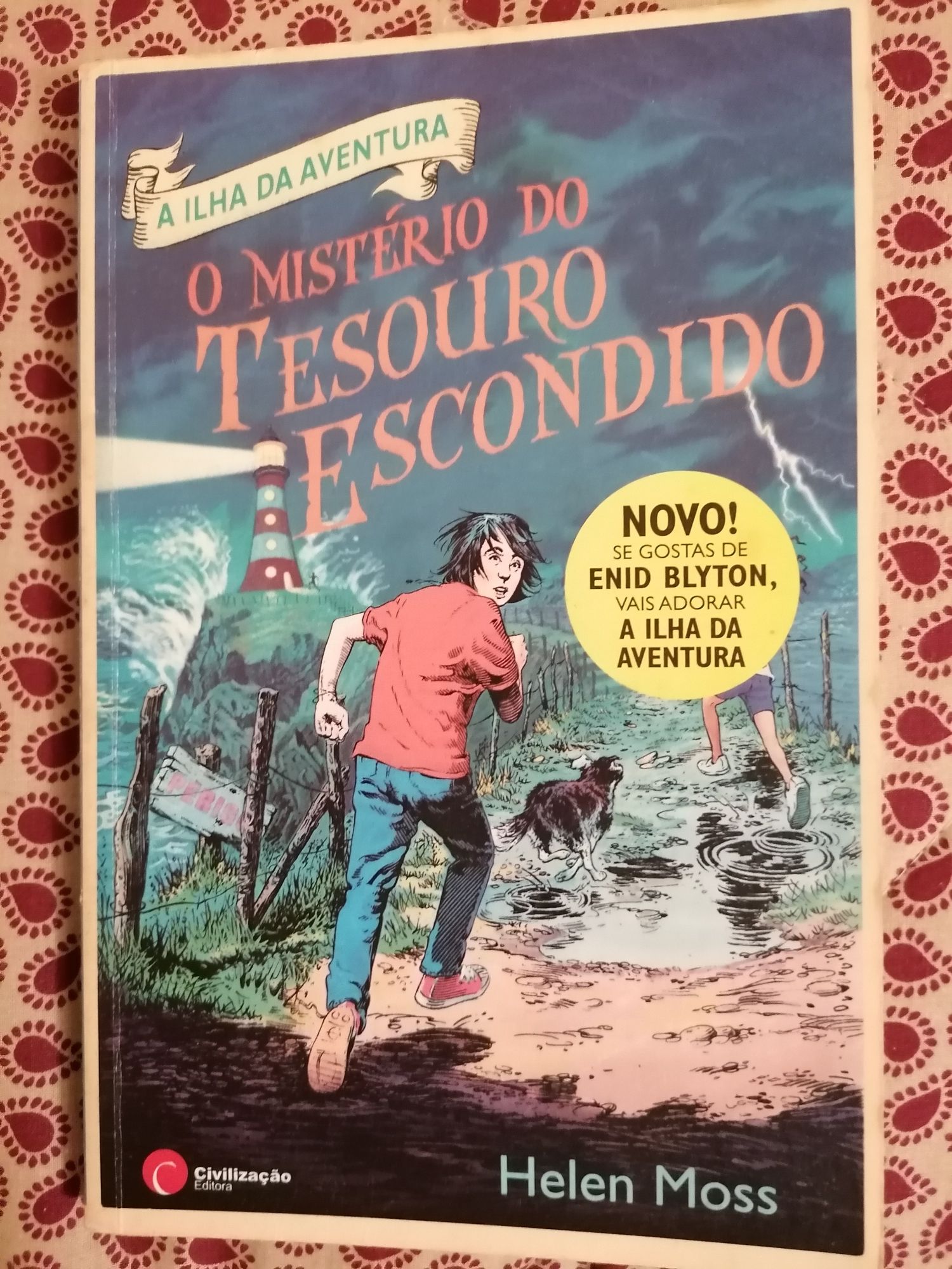 A ilha da aventura - O Mistério do Tesouro Escondido