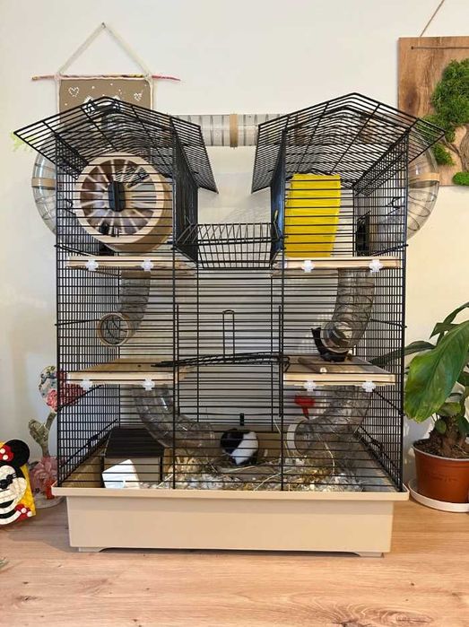 Duża Klatka Dla Chomika Gryzoni XXL Domek Kołowrotek Tunel Drabinka