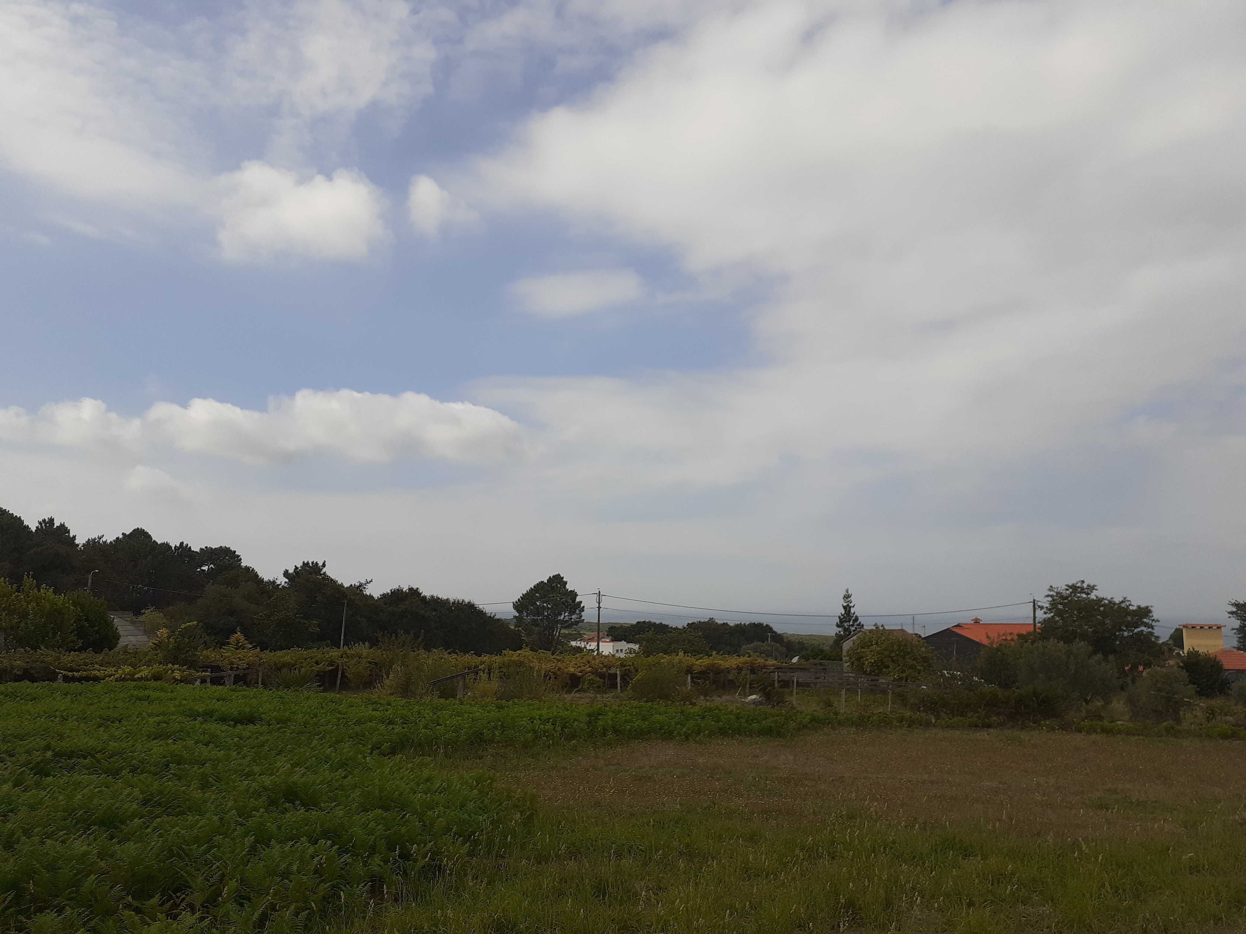 Vendo Terreno - Afife com 1900 m2 Soalheiro vista mar.