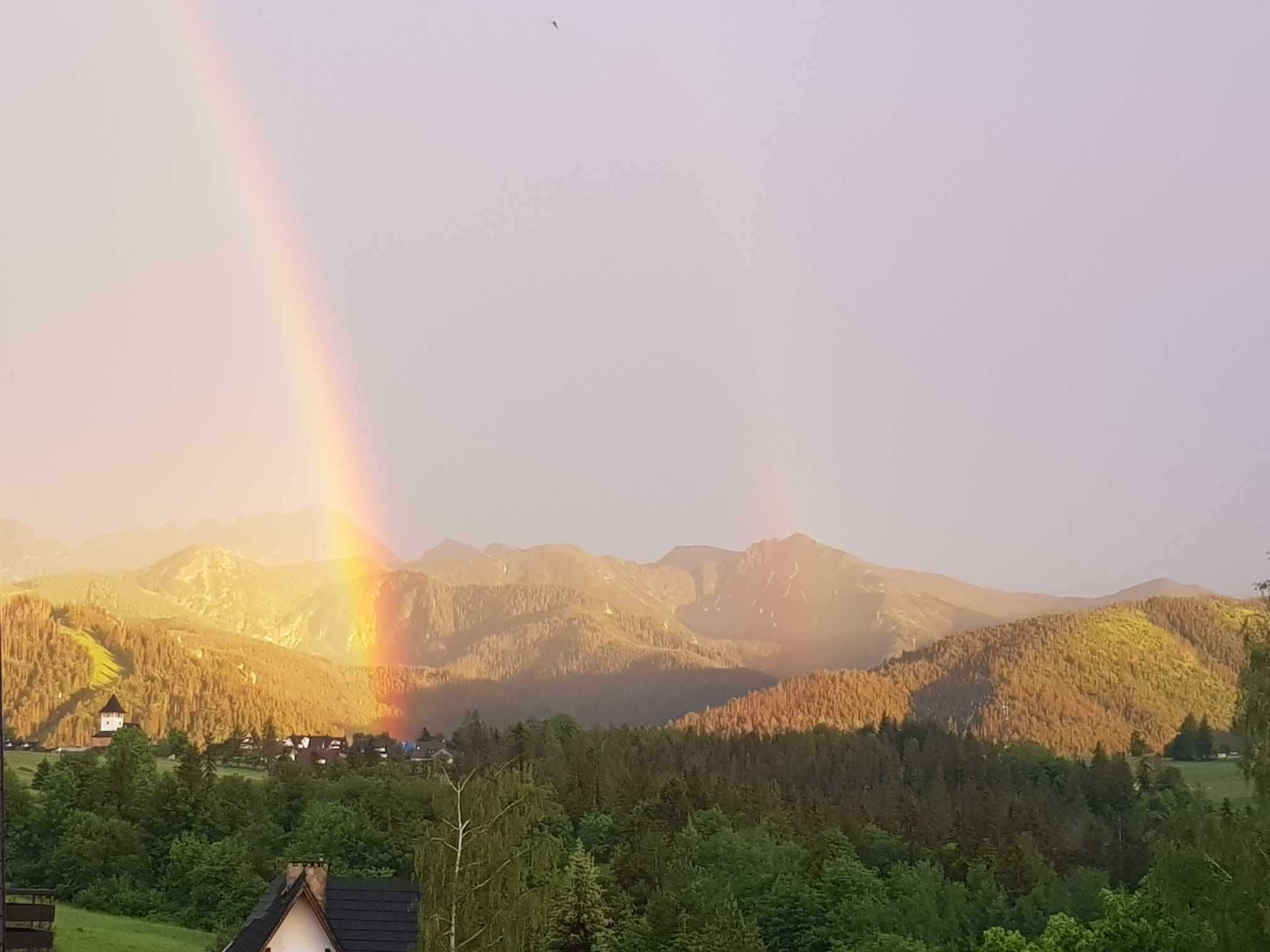 Pokoje gościnne Zakopane