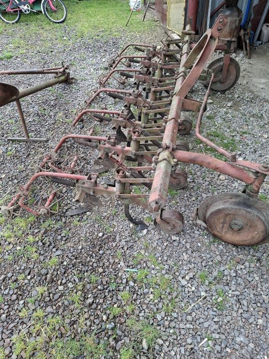 Wielorak planetka pielnik