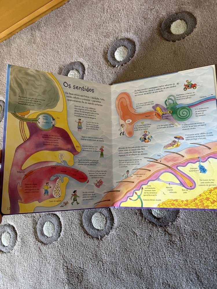 Livros Espreita Perguntas e Respostas O Teu Corpo