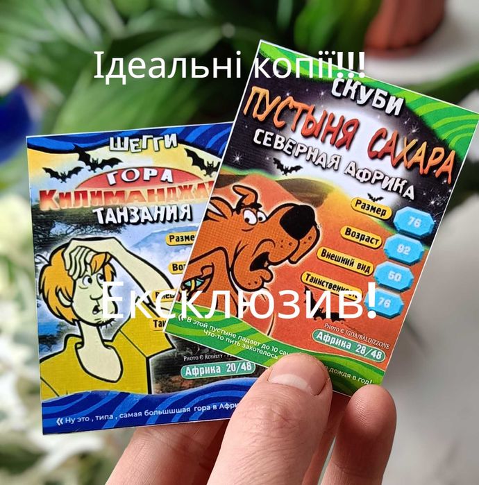 Скубі ду Африка 20,28! рейтингові картки