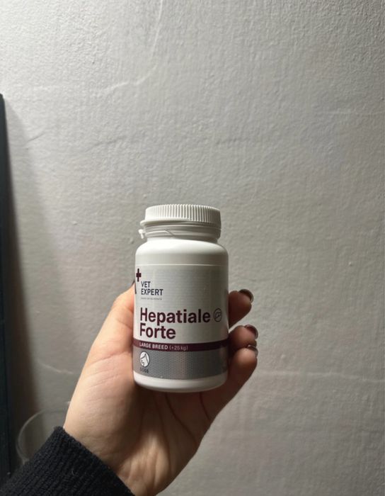 Hepatiale Forte Large Breed