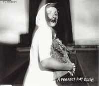 PJ Harvey - A Perfect Day Elise [CD Single 1998]