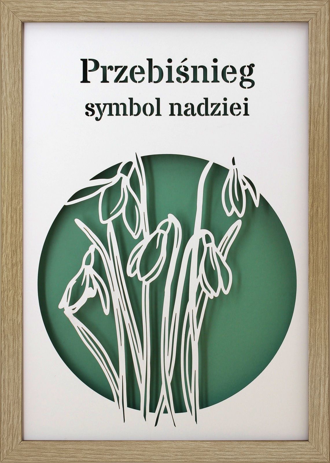 Ramka 3D Shadow Box Przebiśnieg